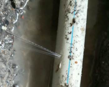 鸠江卫生间测漏水多少钱